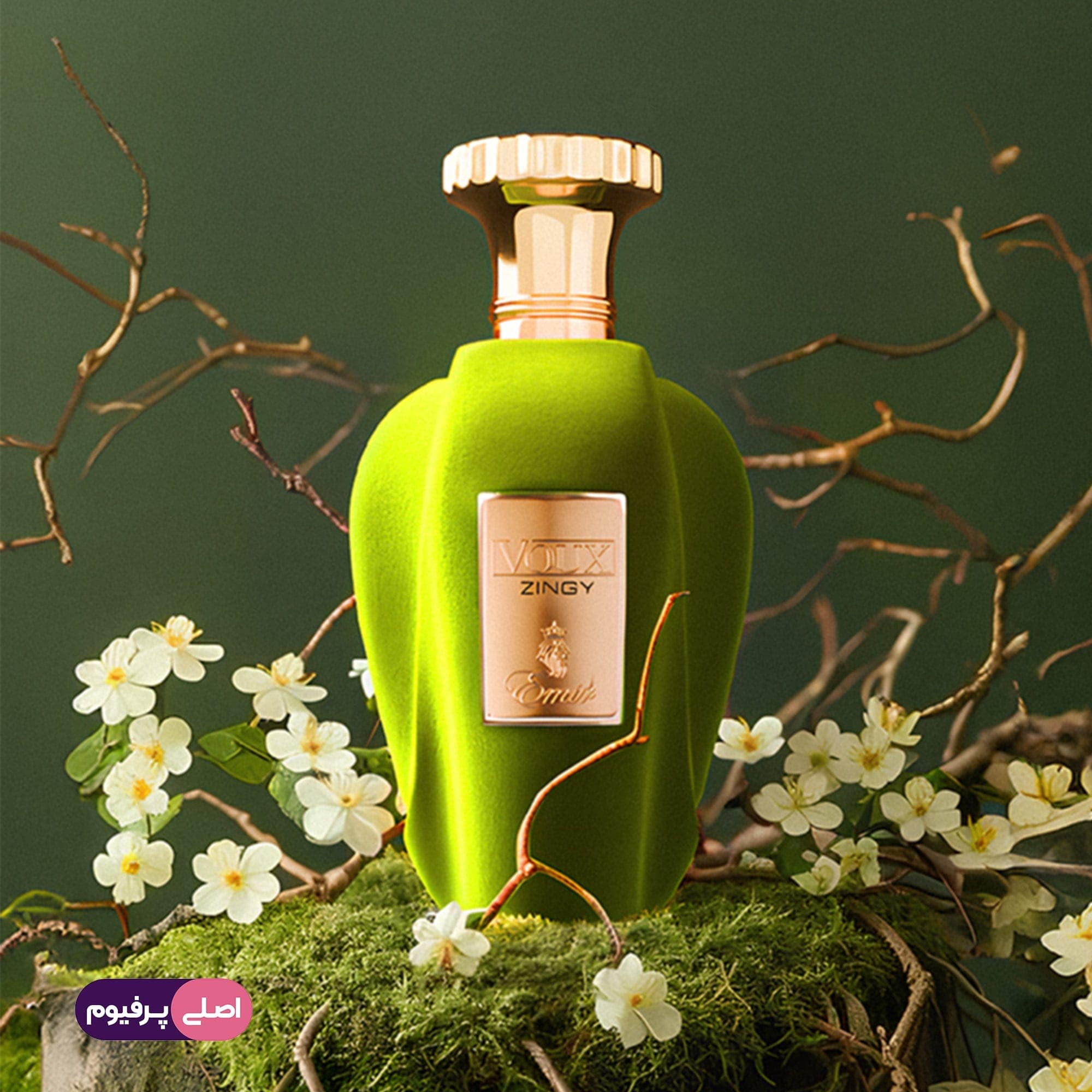 ووکس زینگی پاریس کرنر (Paris corner) — تصویر ۳