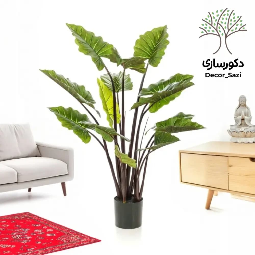 گل بابا آدم گوش فیلی مصنوعی