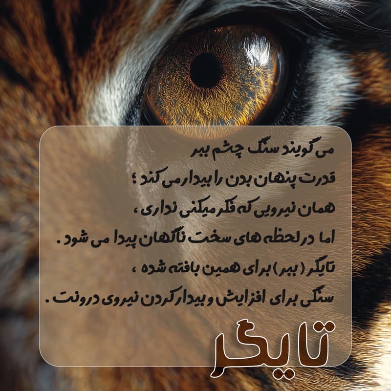دستبند تایگر — تصویر ۳