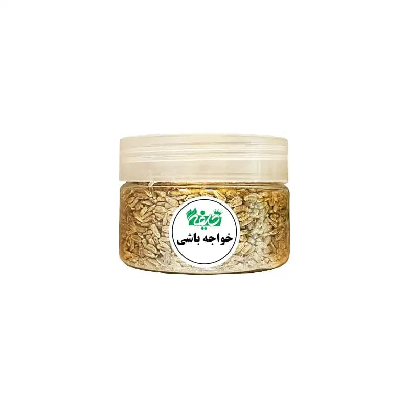 خواجه باشی خلیفه
