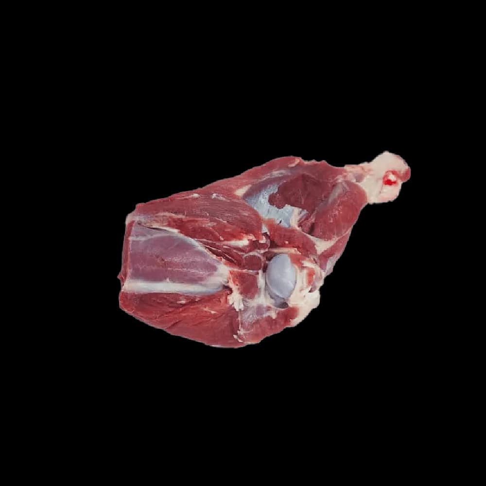 قلم دست گوسفندی