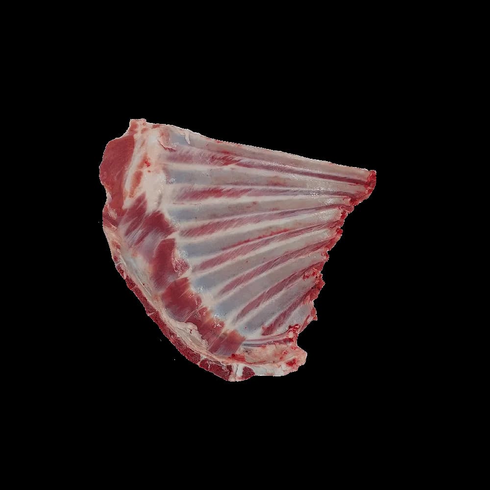 سرسینه گوسفندی
