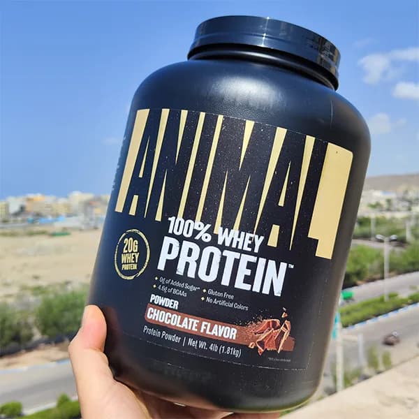 پروتئین انیمال وی یونیورسال | Universal Nutrition Animal Whey — تصویر ۳
