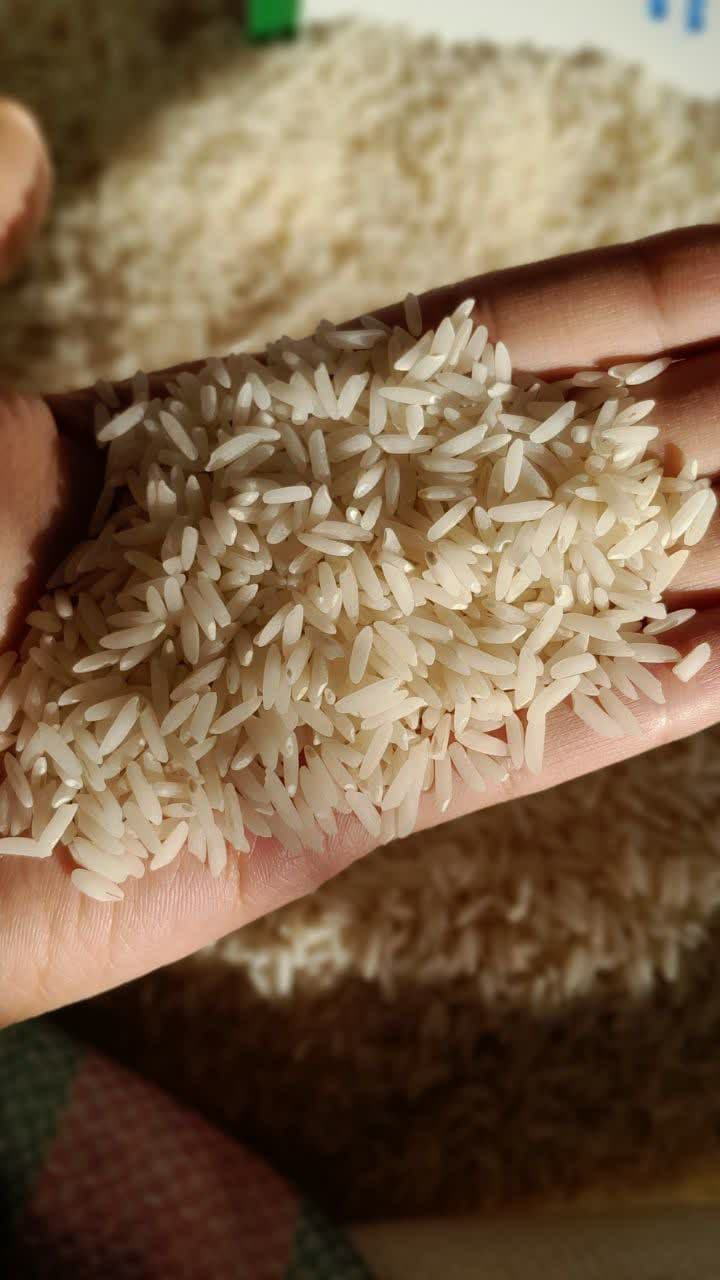 برنج طارم هاشمی 10 کیلویی — تصویر ۴