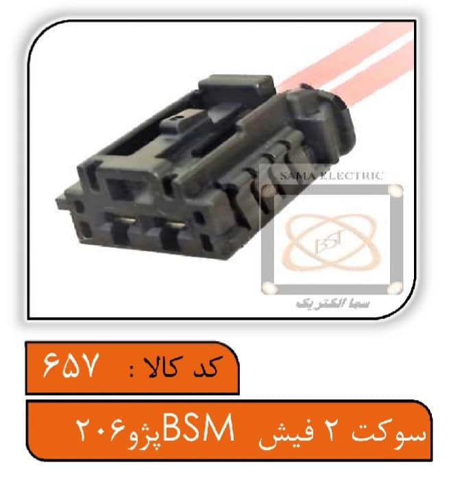 سوکت 2فیش BSMپژو 206