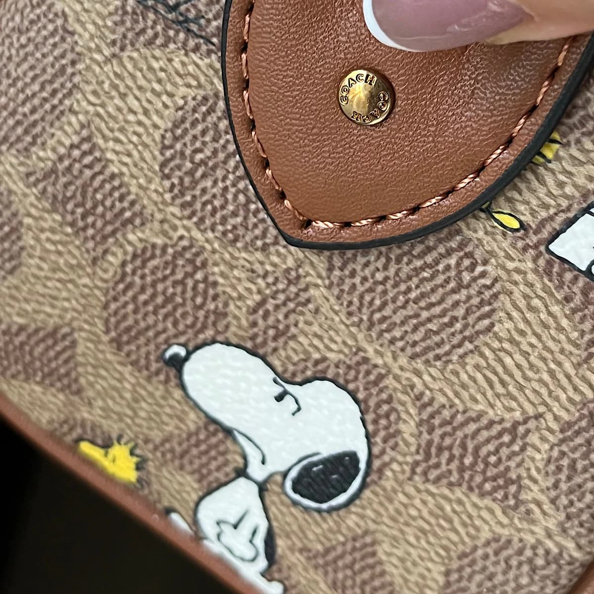 کیف کوچ لیمیتد ادیشن (Coach) — تصویر ۷