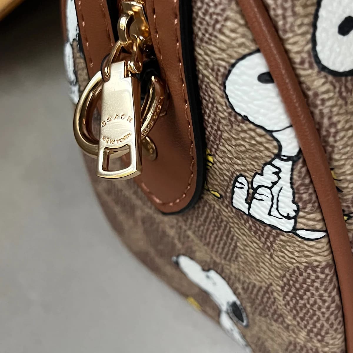 کیف کوچ لیمیتد ادیشن (Coach) — تصویر ۹