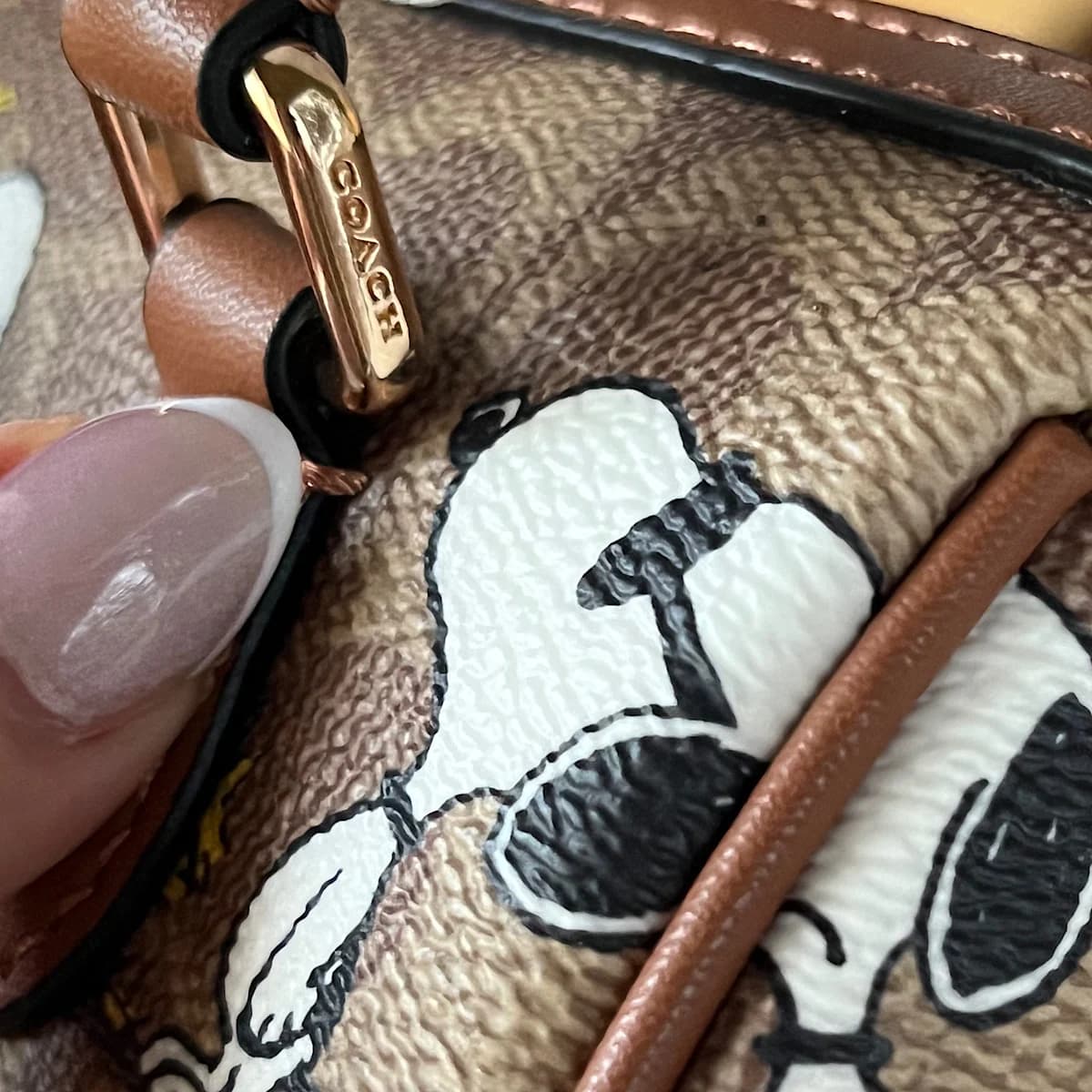 کیف کوچ لیمیتد ادیشن (Coach) — تصویر ۱۱