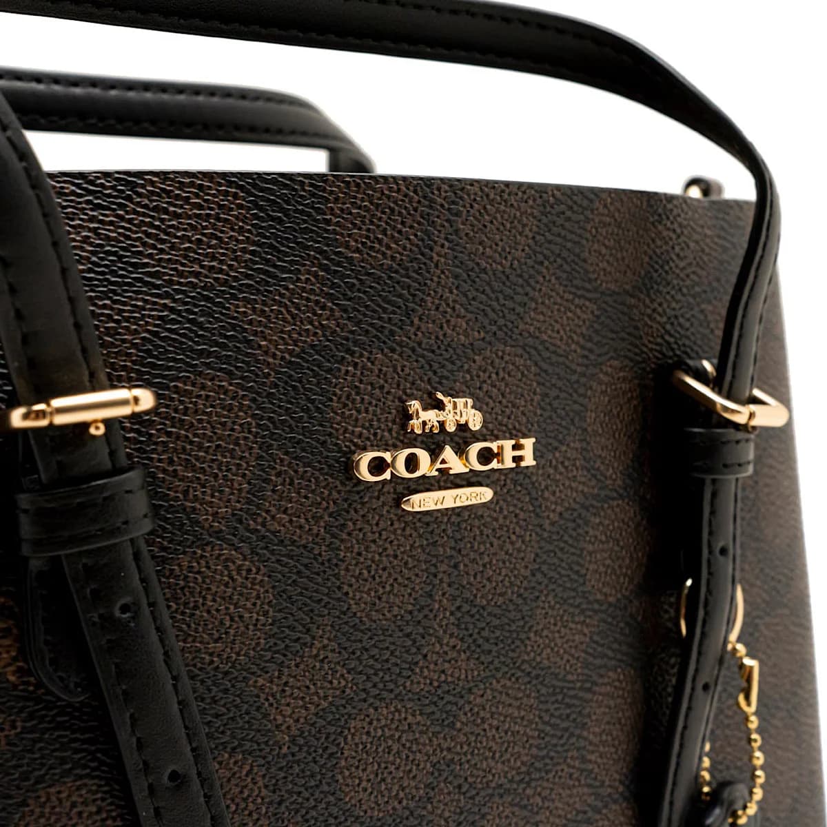 کیف کوچ (Coach mollie bag) — تصویر ۱۲