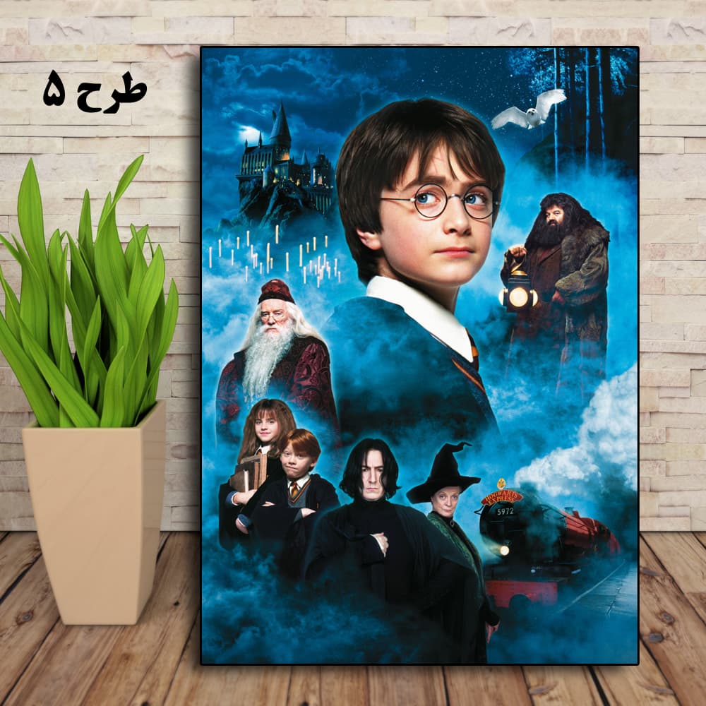 تابلو هری پاتر طرح 5 سایز 40×30 روی شاسی