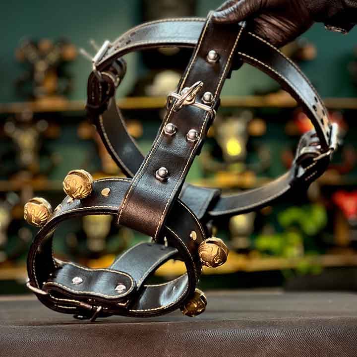 کتفی تخصصی مهار سگ قوردار مشکی