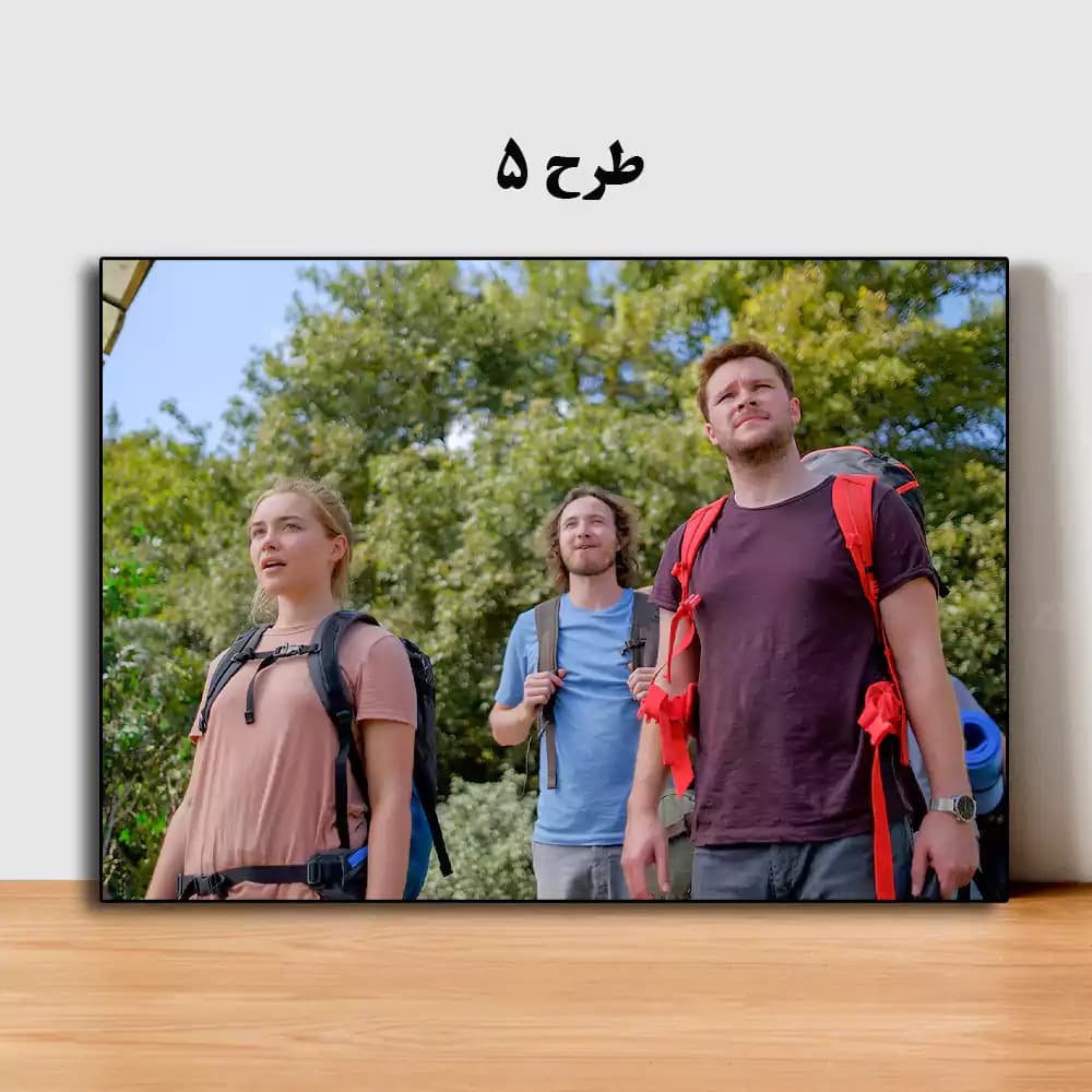 تابلو فیلم Midsommar 2019 — تصویر ۶