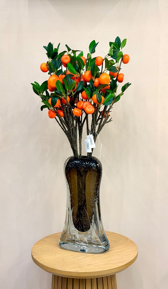 شاخه میوه نارنگی