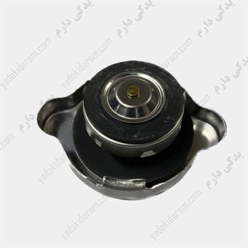 درب رادیاتور نیسان ماکسیما