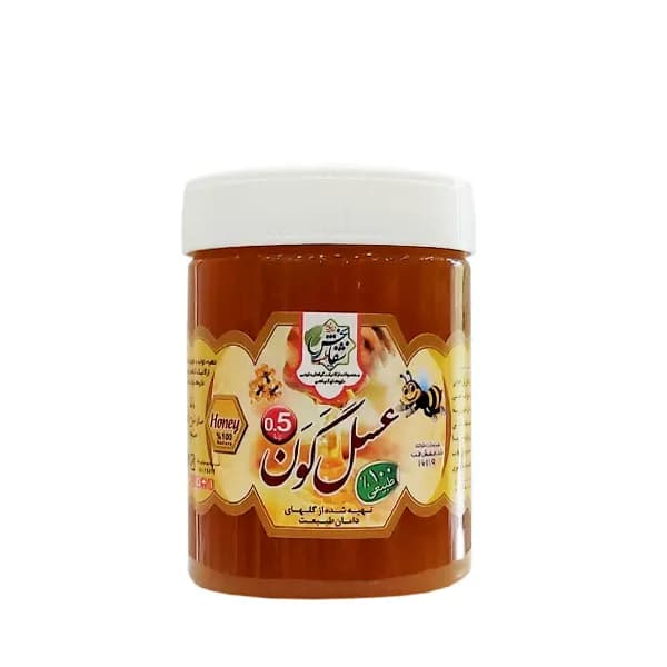 عسل گون شفابخش وزن 500 گرم