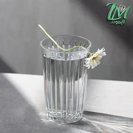 شات پاشاباغچه مدل جوی 520362 — تصویر ۵