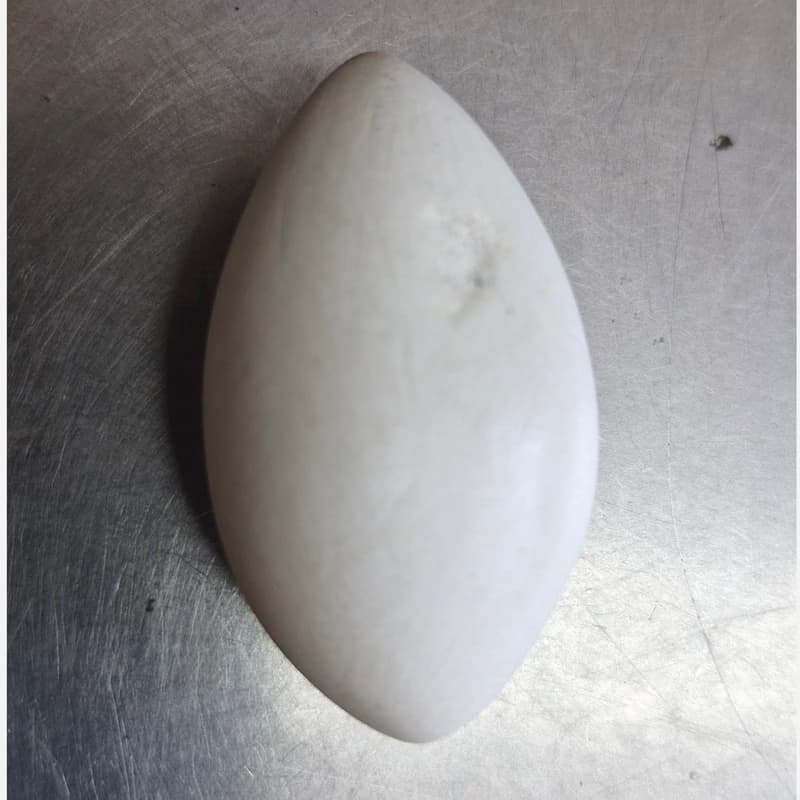 عاج فیل سفید رنگ