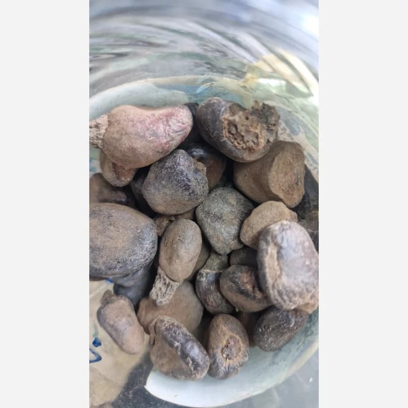 بلادور 75 گرم — تصویر ۳