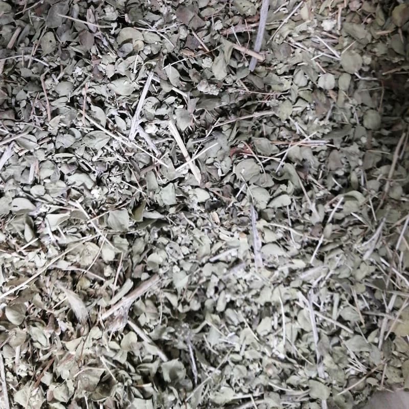 گیاه اورشمک 75 گرم