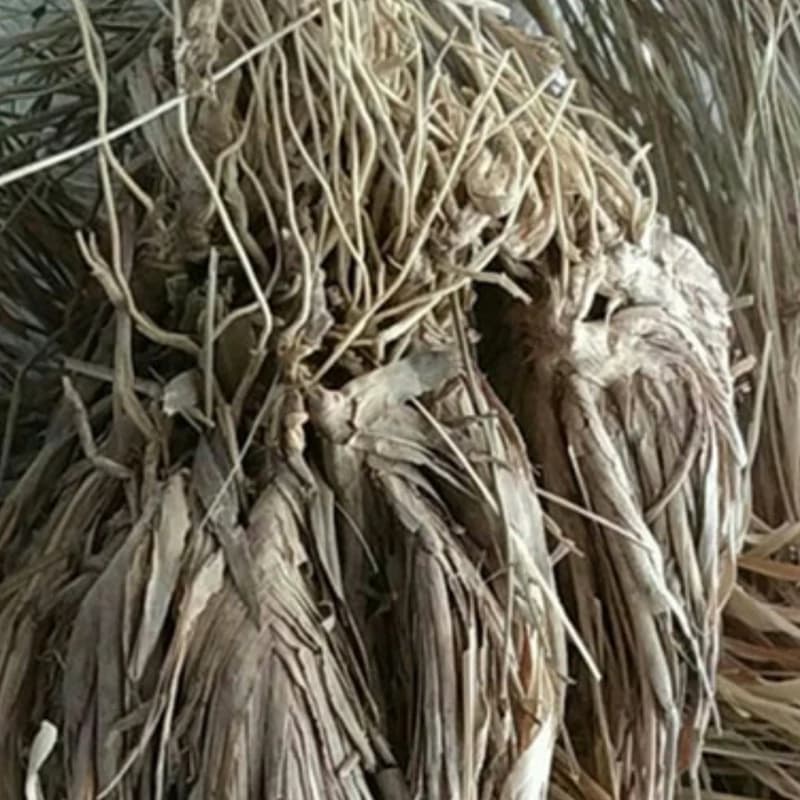 لیمون گراس 50 گرم یا علف لیمو یا اصغر مکی