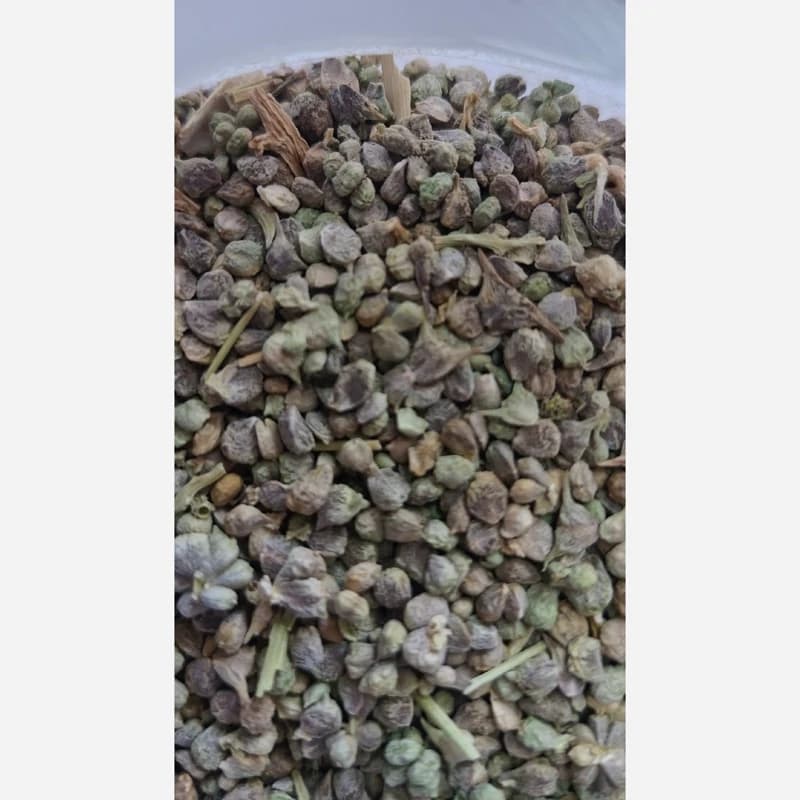 بذر اسفناج 75 گرم