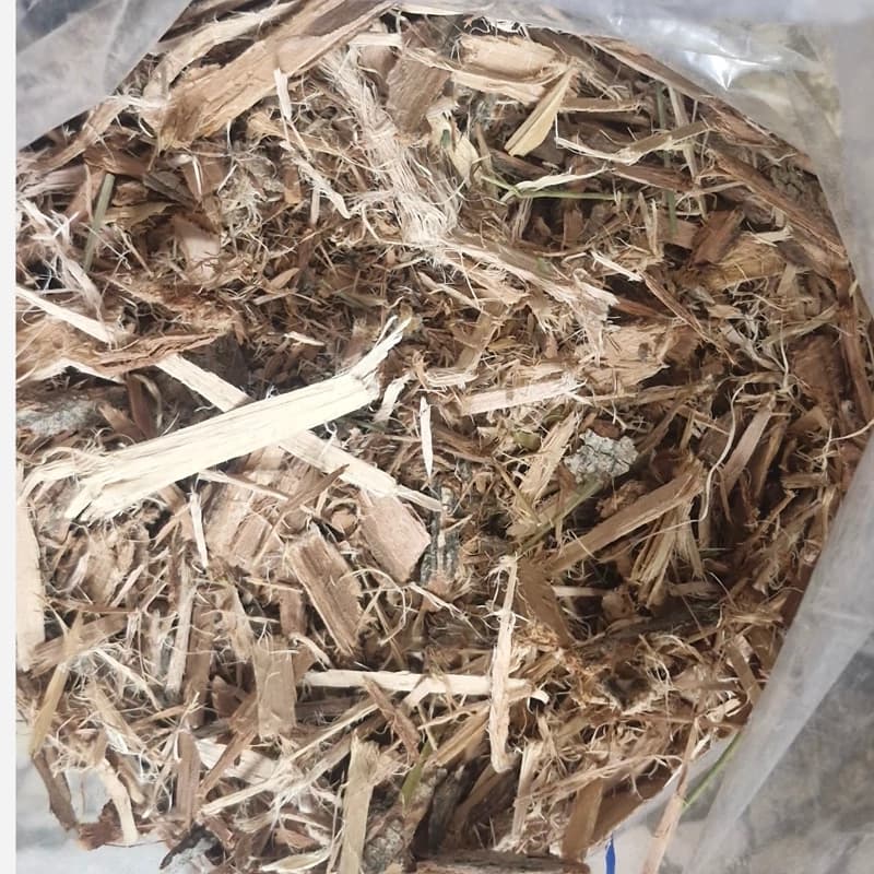 پوست بید 75 گرم
