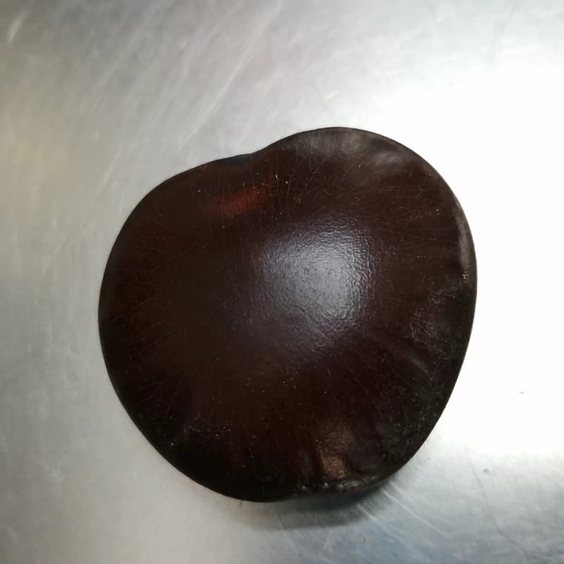 ترکیب گیاهی کمر