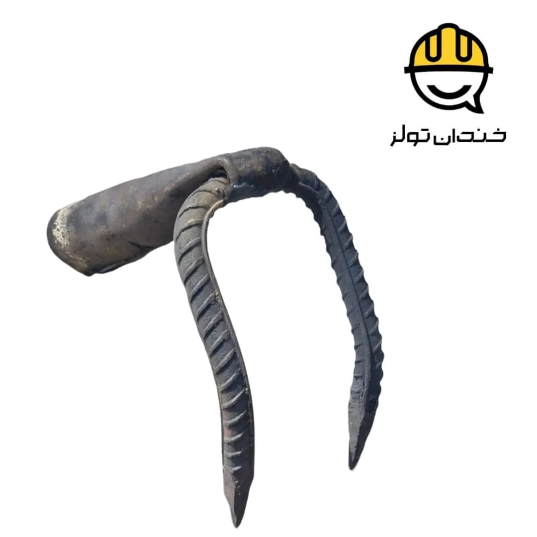 دو شاخ شهرداری — تصویر ۲