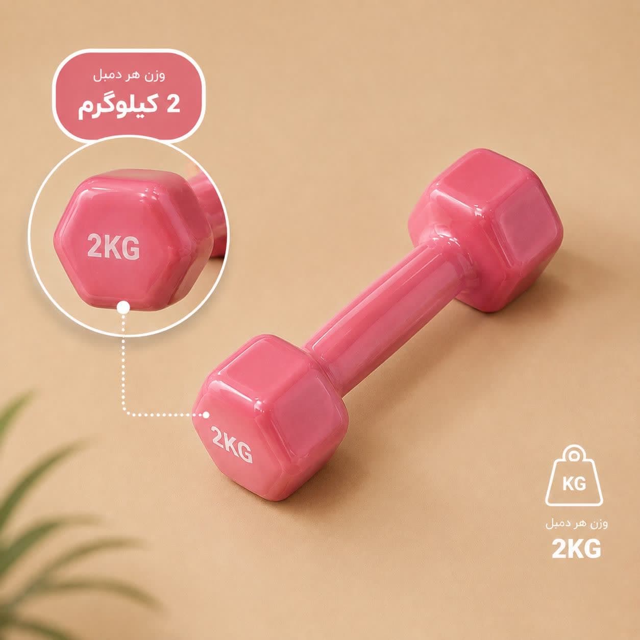 دمبل 2 کیلویی (جفتی) — تصویر ۲