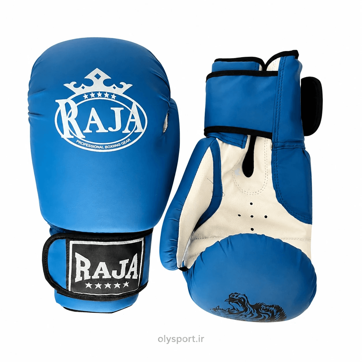 دستکش بوکس RAJA