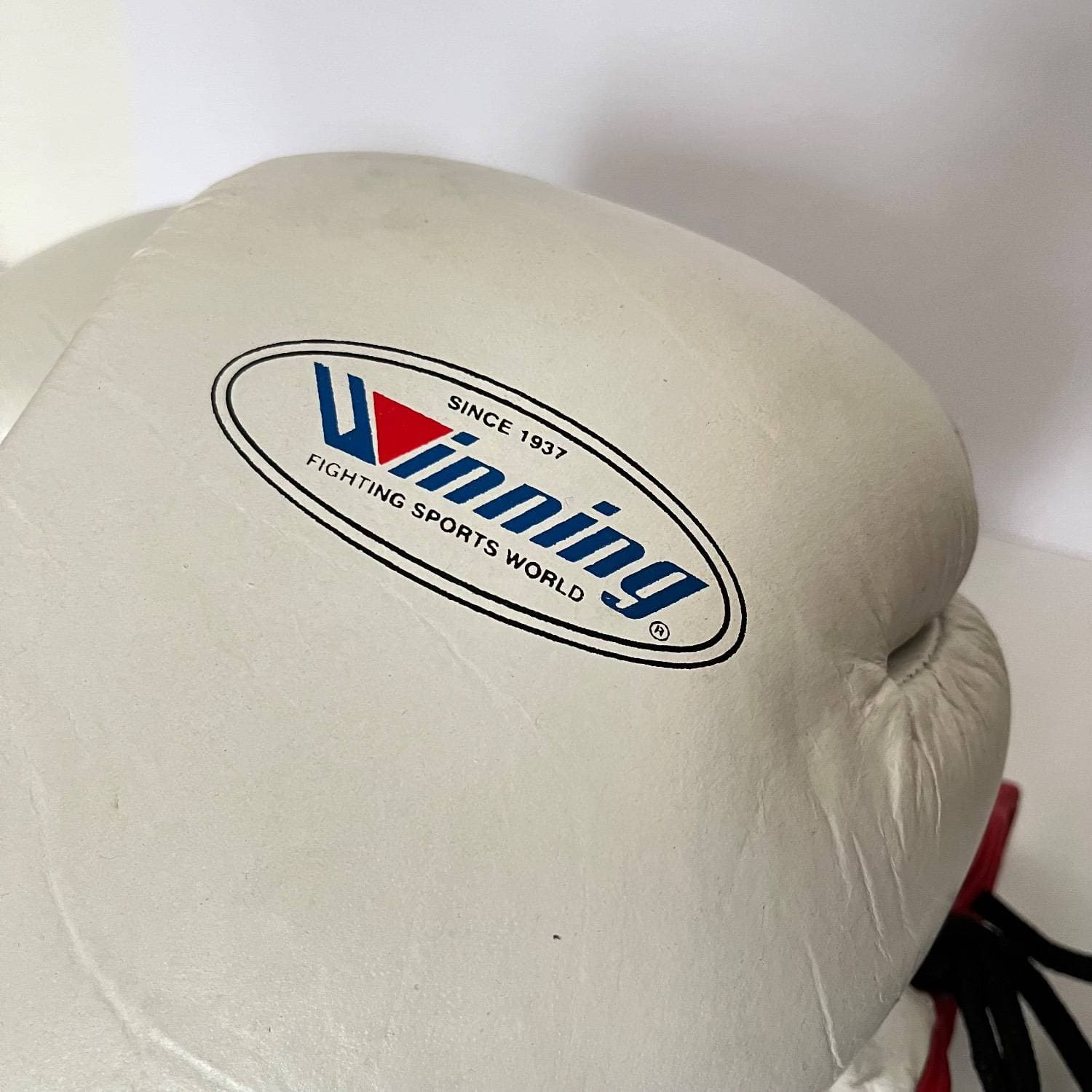 دستکش بوکس Winning — تصویر ۱۱