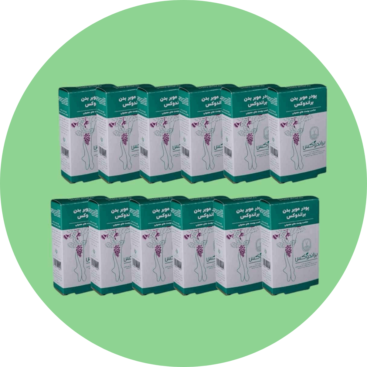 پودر موبر براندوکس مدل Mentha piperita وزن50 گرم مجموعه 12 عددی
