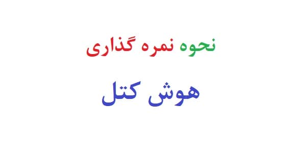 نحوه نمره گذاری آزمون هوش کتل