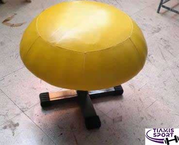 قارچ ژیمناستیک