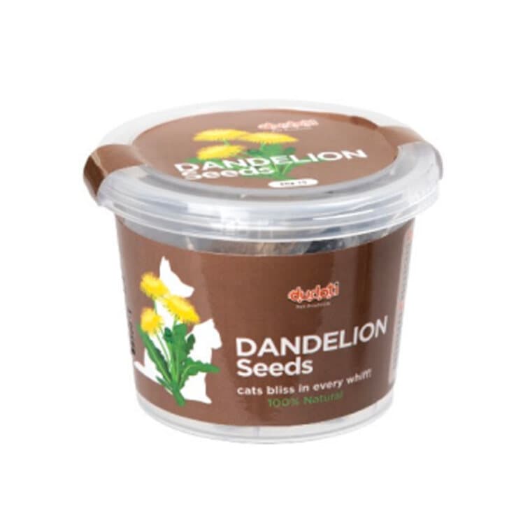بذر گل قاصدک سگ و گربه دودوتی Dudoti Dandelion وزن 80 گرم