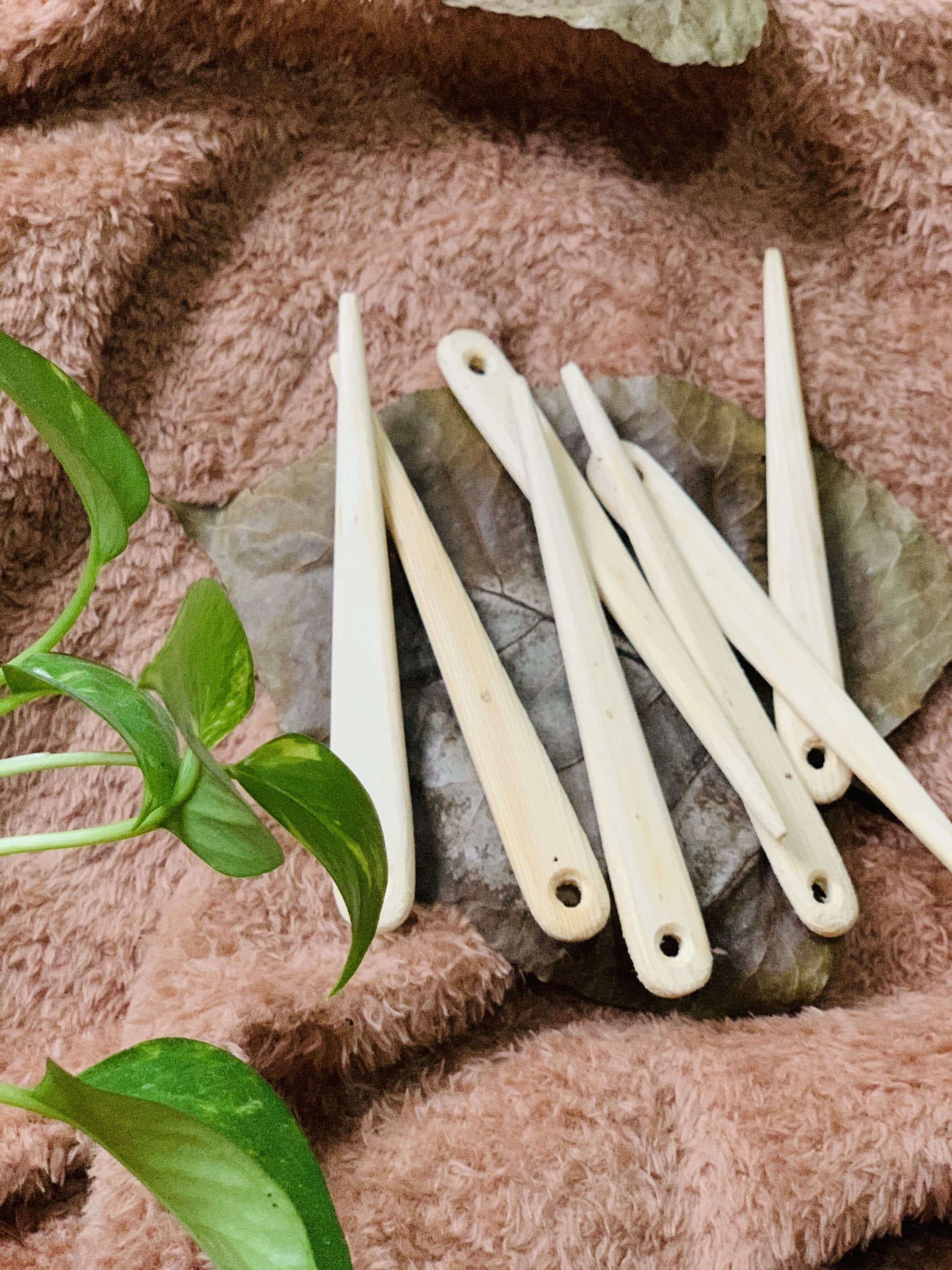 سوزن چوبی تاپستری