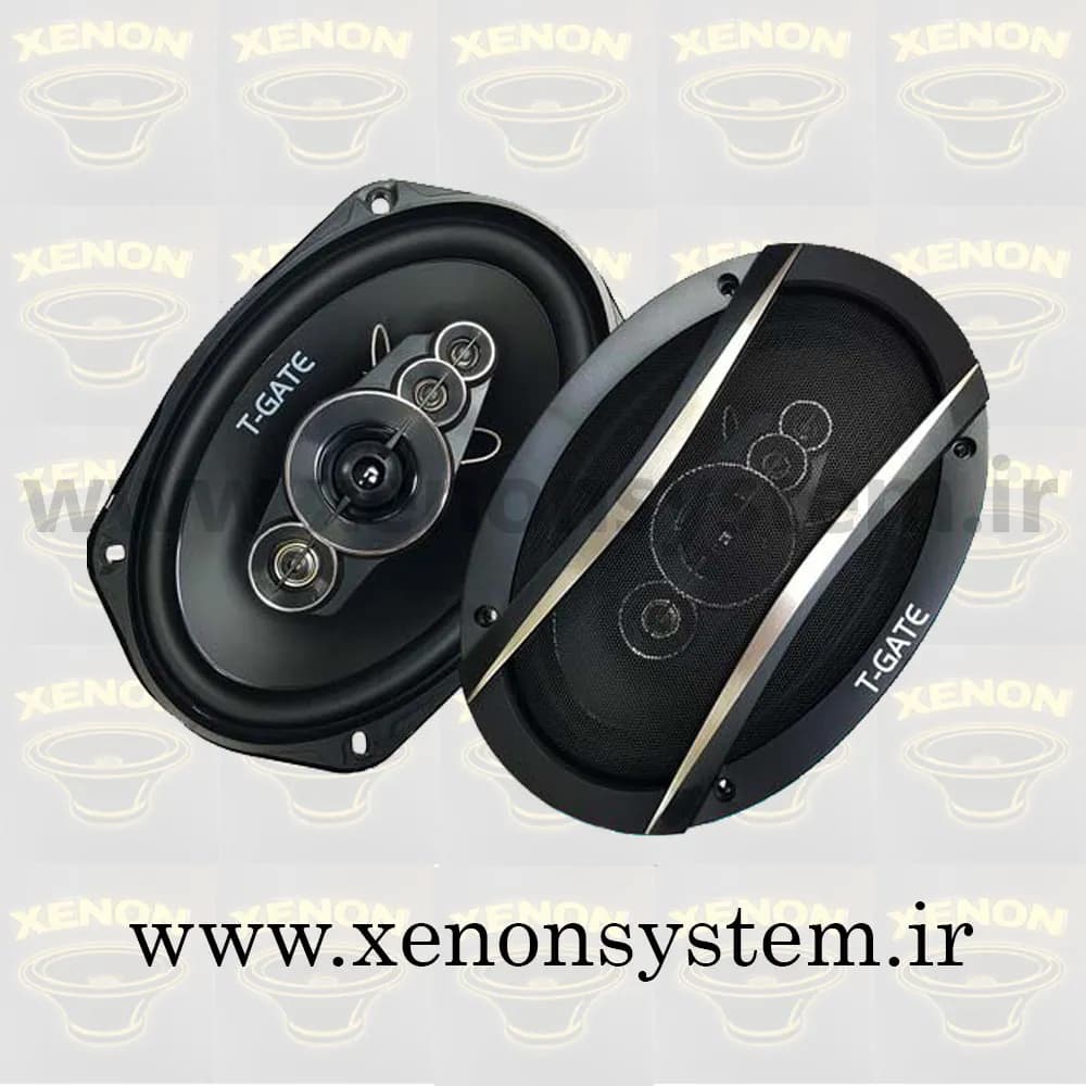 اسپیکر / باند خودرو تی گیت بیضی مدل T-6991CS بسته دو عددی