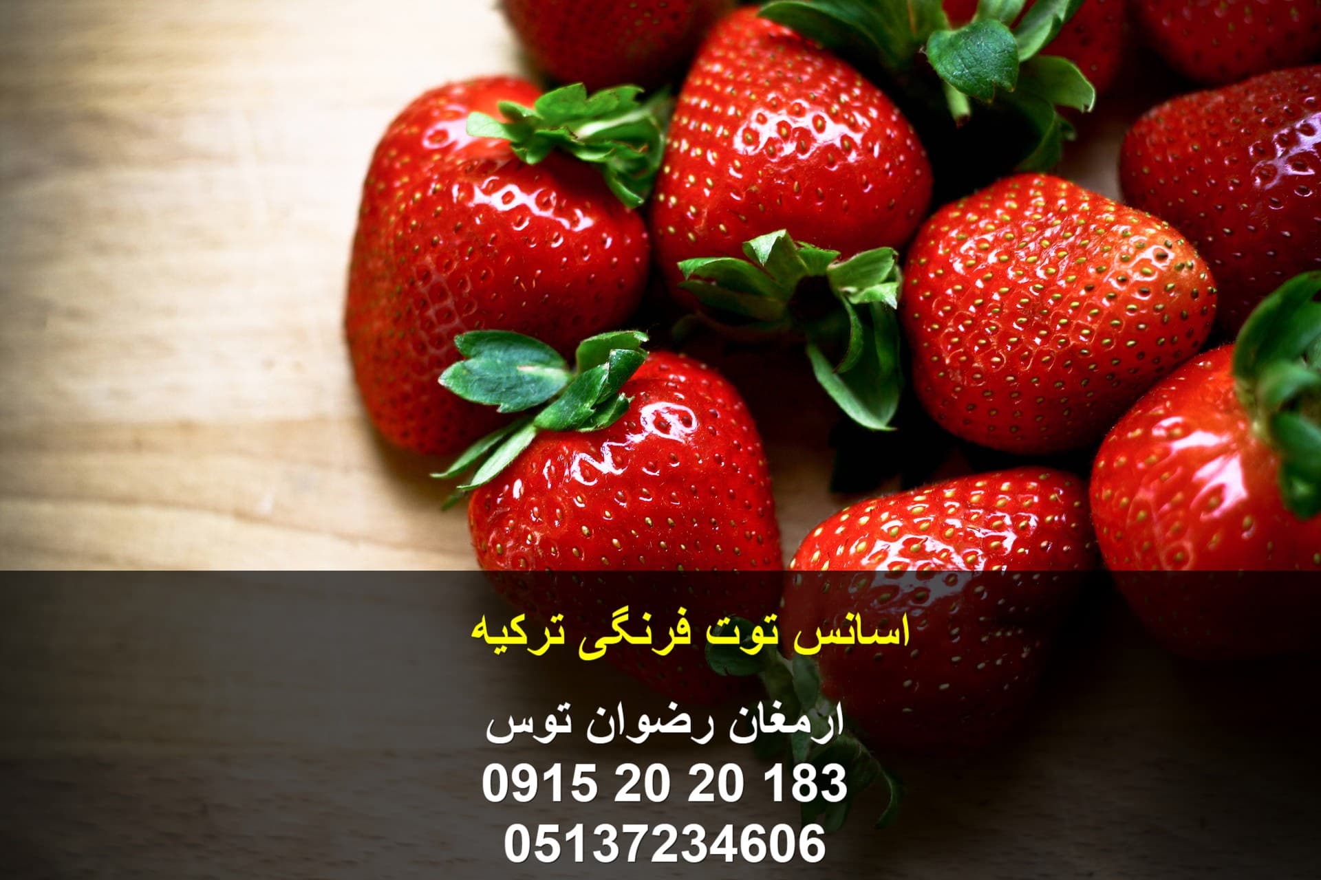 اسانس توت فرنگی ترکیه