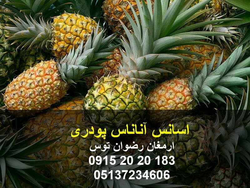 اسانس آناناس پودری