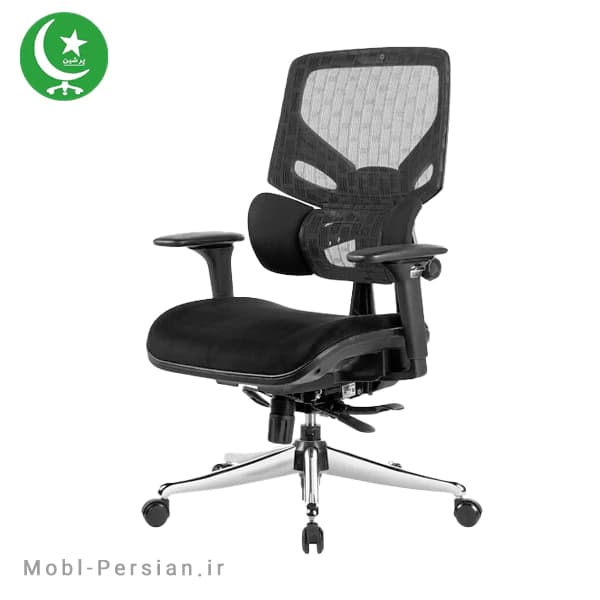 صندلی کارشناسی مدل T61 پرشین