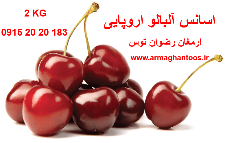 اسانس آلبالو — تصویر ۴