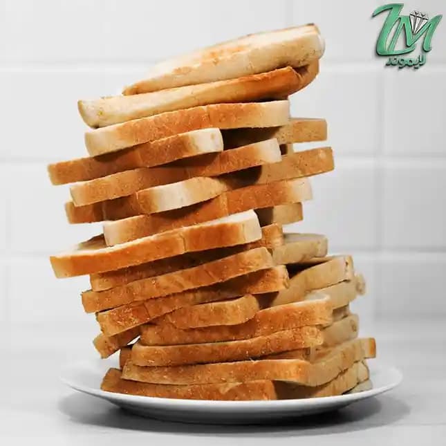 توستر گاستروبک مدل GASTROBACK 42394 — تصویر ۹