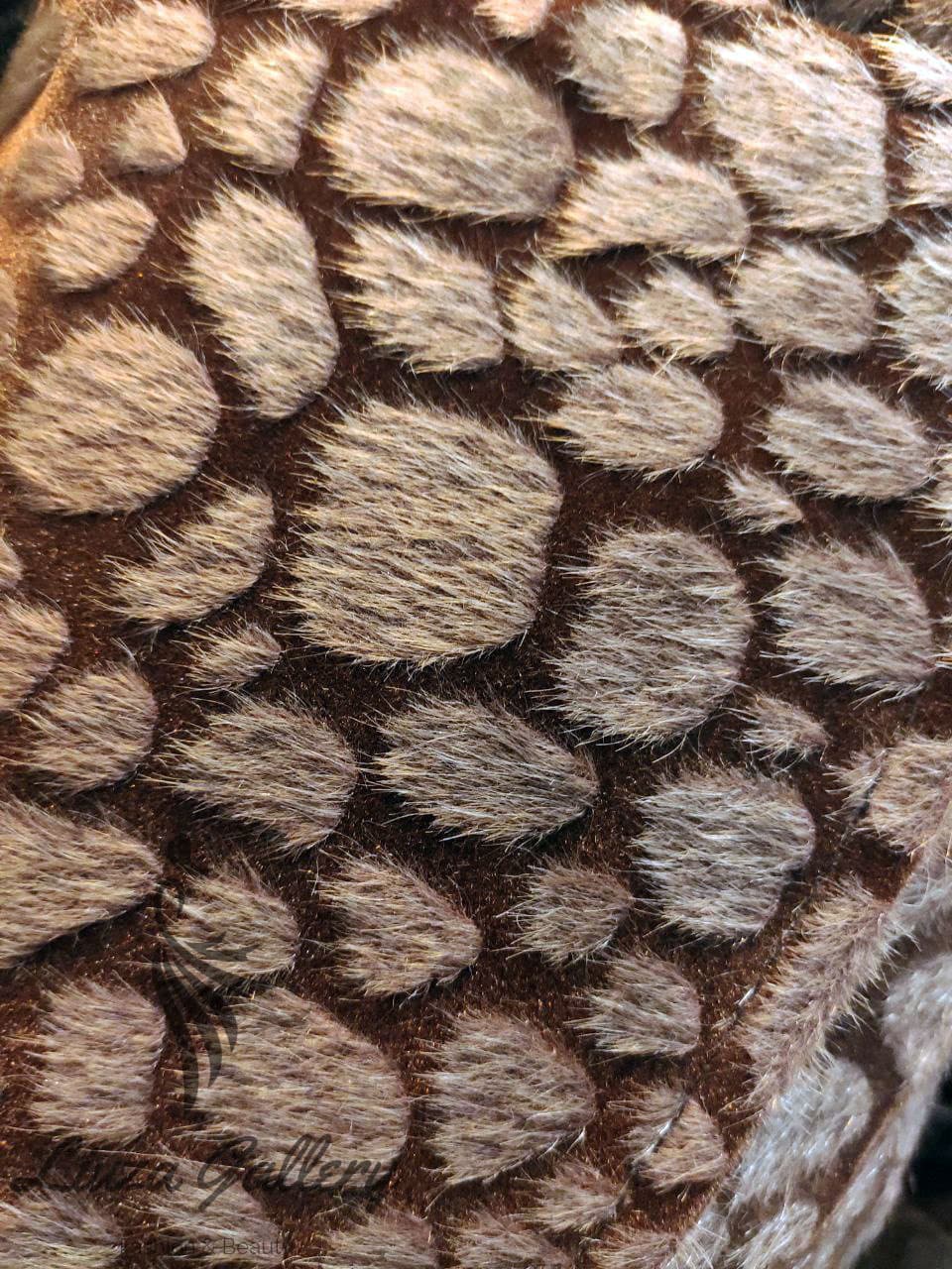 کت پالتوی سموری — تصویر ۹