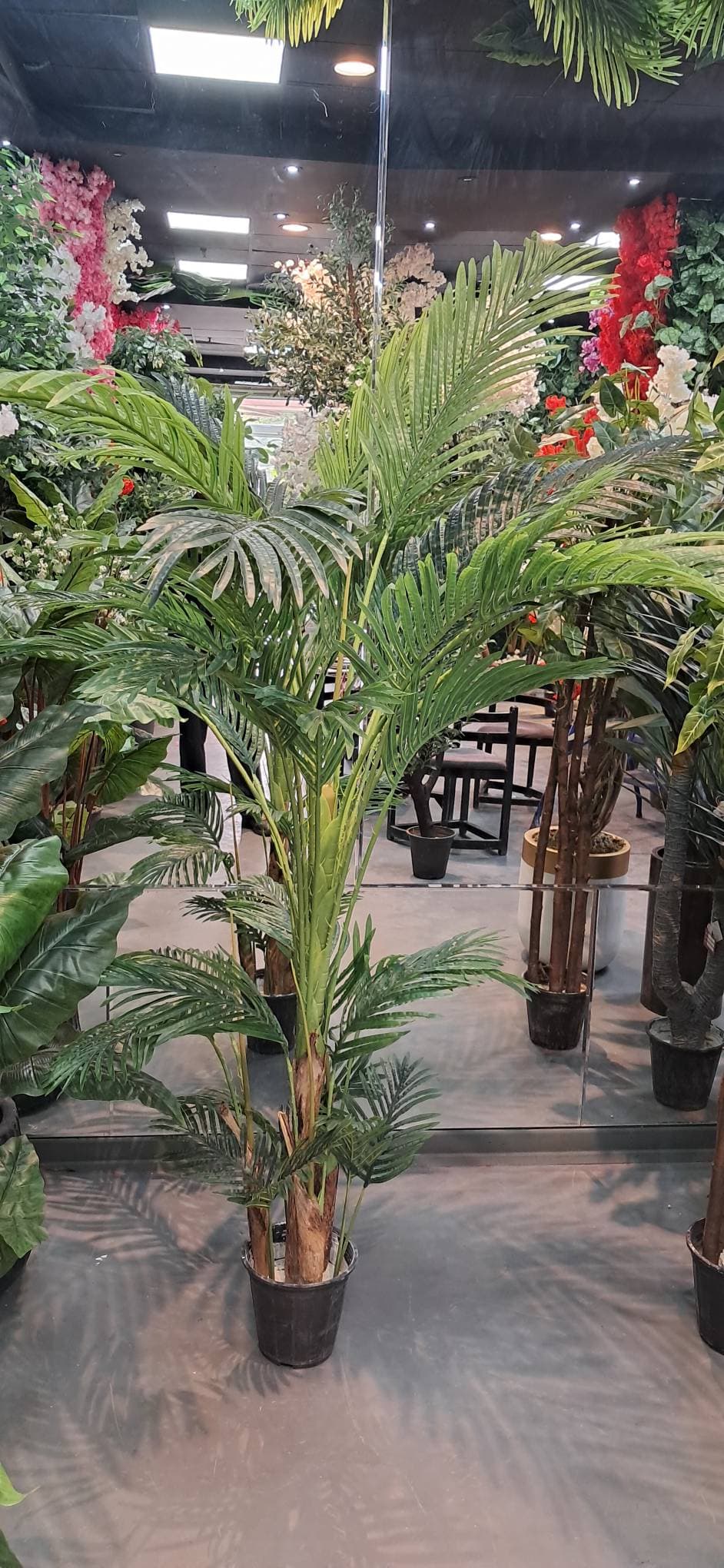 درختچه مصنوعی کنتیا