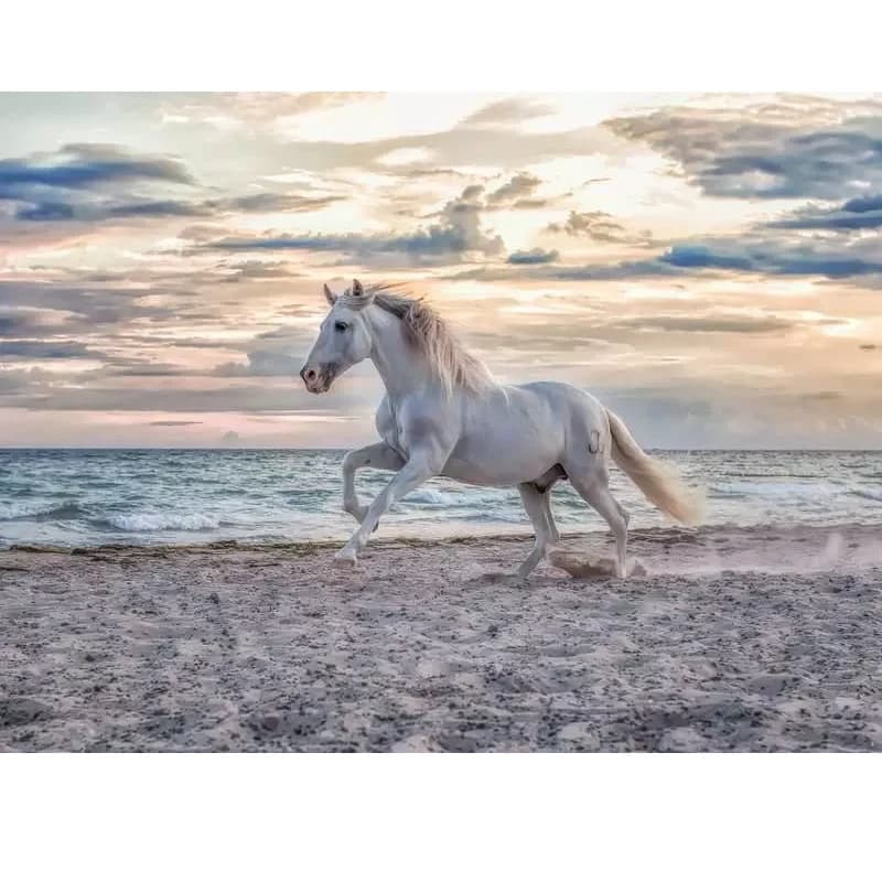 پازل 500 تکه رونزبرگر طرح Evening Gallop کد 12000222 — تصویر ۳