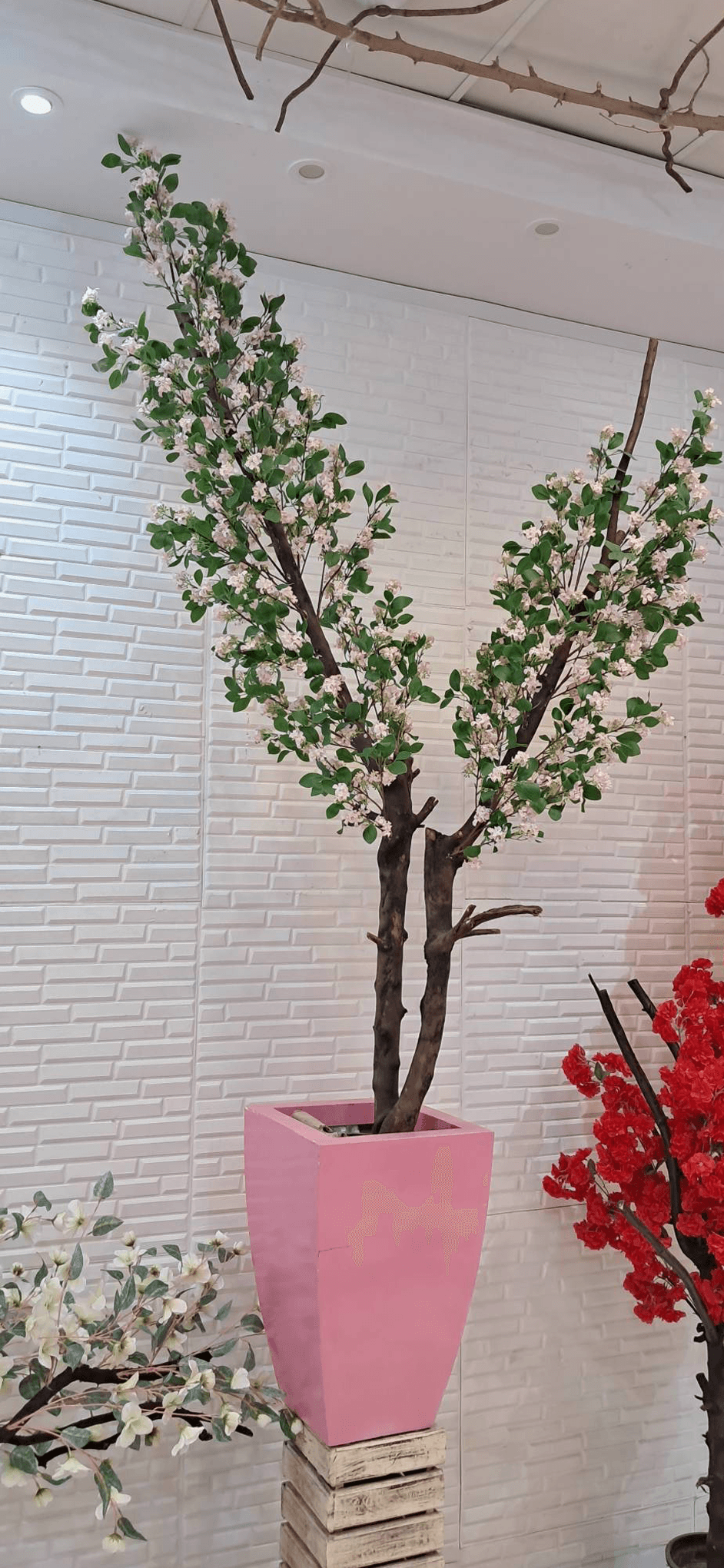 درختچه شکوفه بهاری