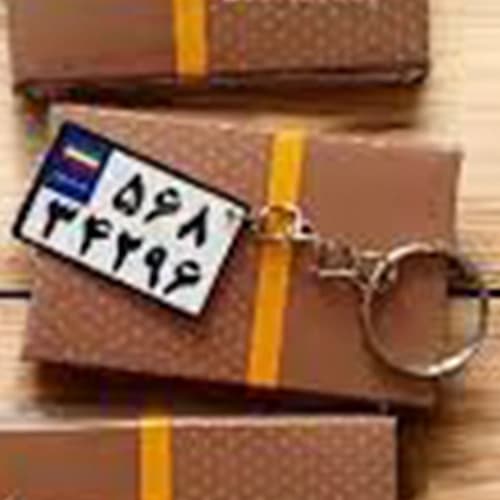 دسته کلید فلزی پلاک موتور