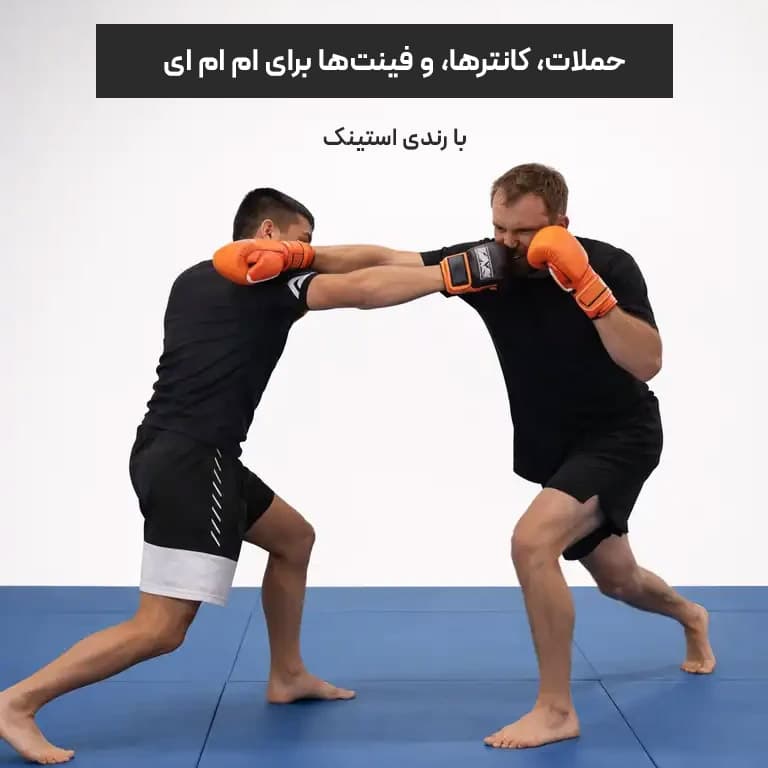 حملات، کانترها، و فینت ها برای ام ام ای با رندی استینک — تصویر ۲
