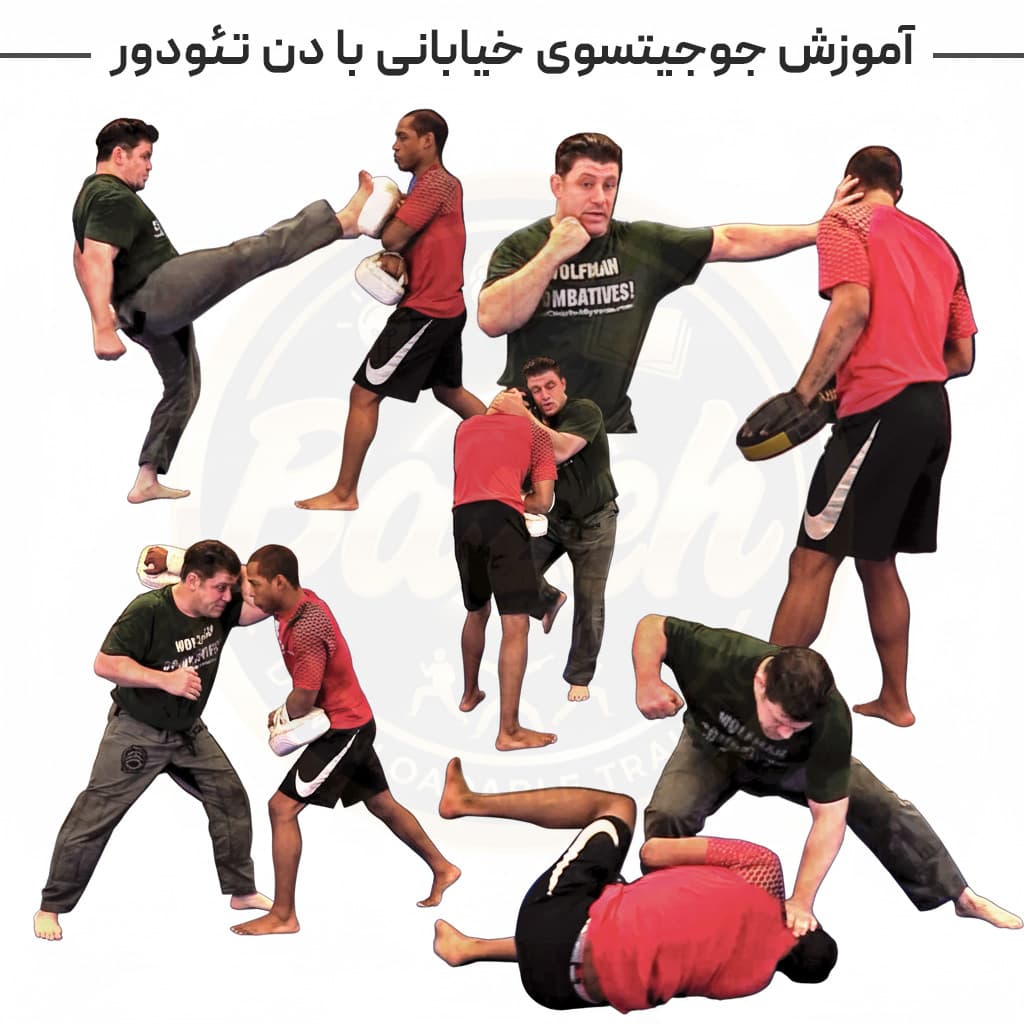 آموزش دفاع شخصی و جوجیتسوی خیابانی با دن تئودور: با زیرنویس فارسی