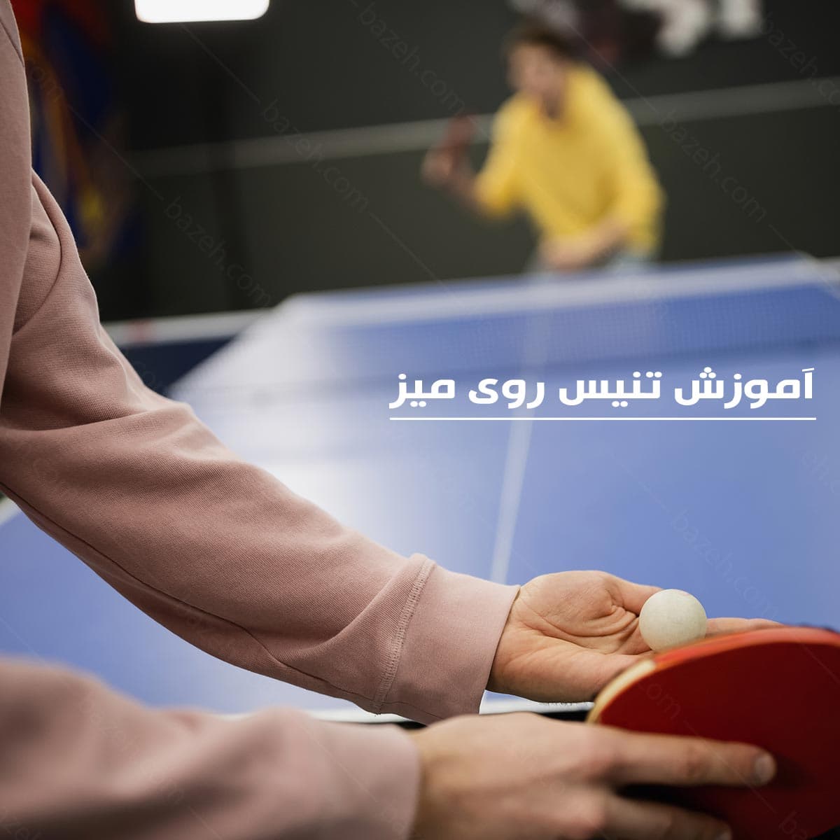 آموزش روش صحیح انجام بازی تنیس روی میز : نسخه دانلودی